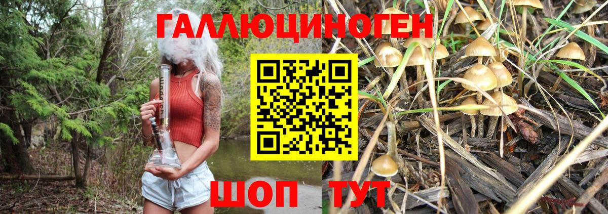 Галлюциногенные грибы Psilocybe  Вход с VPN  Галлюциногенные грибы Psilocybe  Керчь 