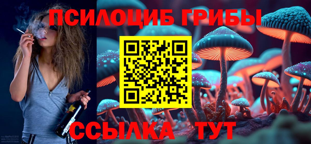 Псилоцибиновые грибы Psilocybine cubensis Керчь